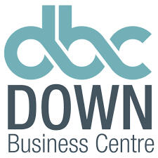 Down Business Centre non-executive director Northern Ireland