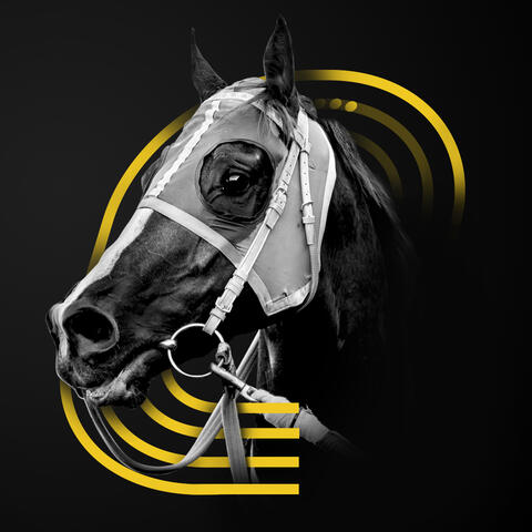 Stable Innovations horse racing technology venture